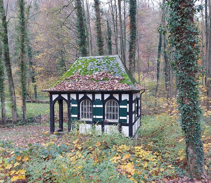Alte Dombach - 2022